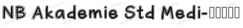 NB Akademie Std Medi字体转换